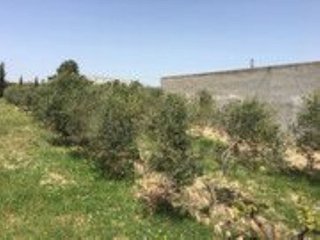 Terreno en venta en Montblanc