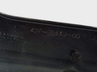 Tapa Lateral Izquierda Delantera Yamaha Fzs 800 20