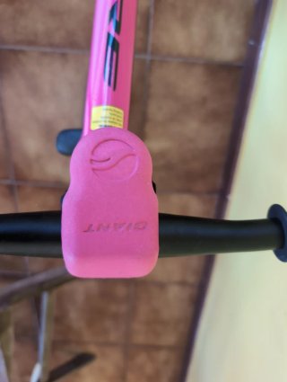 Bicicleta de equilibrio Giant PRE rosa