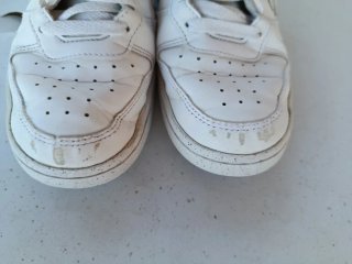 Nike Court Borough Low Blancas