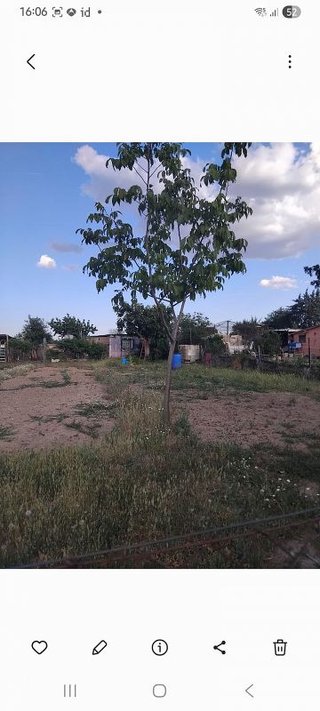 Terreno en venta en Campodón - Ventorro del Cano en Alcorcón