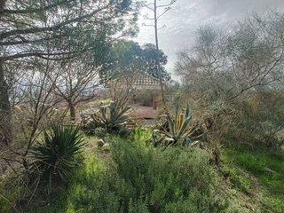 Terreno en venta en Montefrío