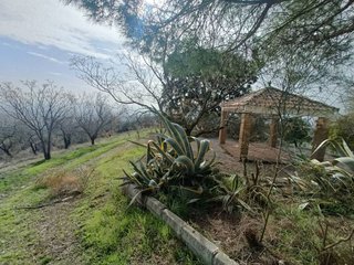 Terreno en venta en Montefrío