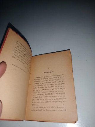Libro de 1926. Figura y carácter - José Sacristán
