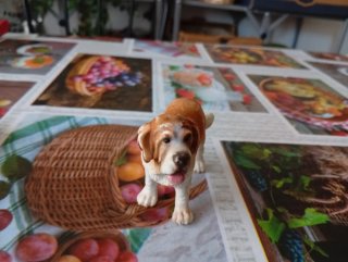 Pack de animales de juguete