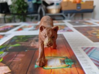 Pack de animales de juguete