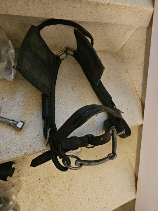 Enganche para arnés de poni
