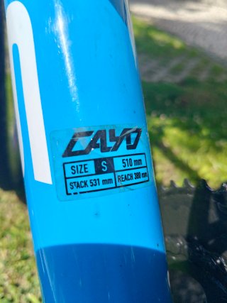 Bicicleta Focus Cayo Carbon Ultegra 11v