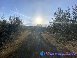 Terreno en venta en Caudete