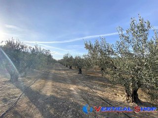 Terreno en venta en Caudete