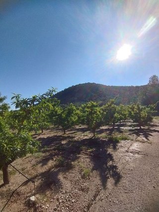 Terreno en venta en Bullas