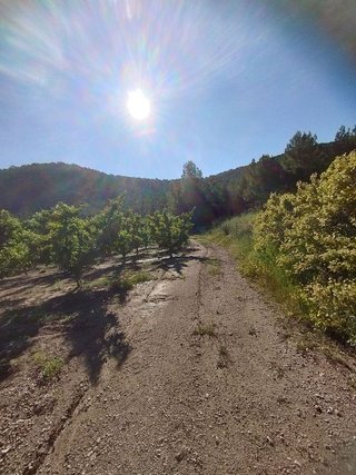 Terreno en venta en Bullas