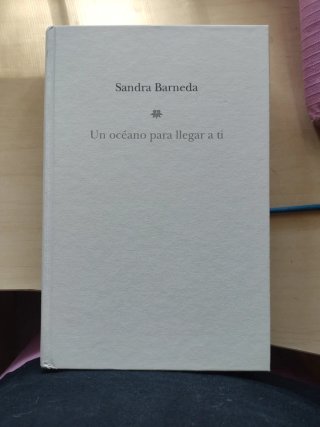 Un océano para llegar a ti