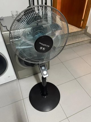 Ventilador Rowenta Negro/Plateado