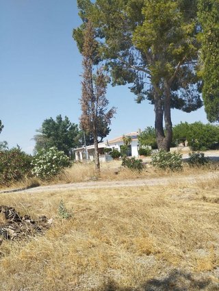 Casa en venta en Bullas
