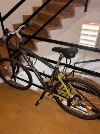 Bicicleta Orbea Aran Negra y Verde