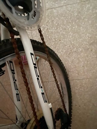 Bicicleta