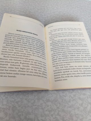 Libro de lectura en euskera