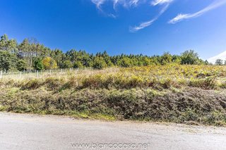 Terreno en venta en Laracha (A)
