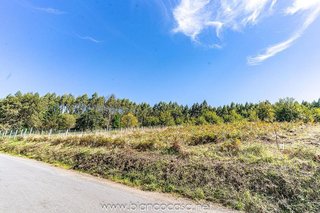 Terreno en venta en Laracha (A)