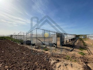 Terreno en venta en Pedanías Norte en Utrera