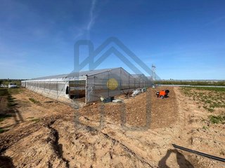 Terreno en venta en Pedanías Norte en Utrera
