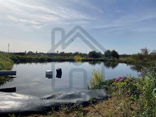 Terreno en venta en Pedanías Norte en Utrera