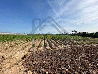 Terreno en venta en Pedanías Norte en Utrera