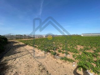 Terreno en venta en Pedanías Norte en Utrera