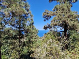 Terreno en venta en Icod de los Vinos en Icod de los Vinos
