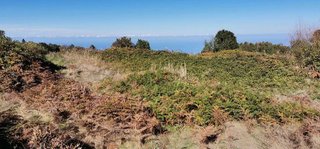 Terreno en venta en Icod de los Vinos en Icod de los Vinos