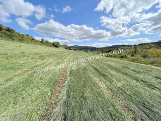 Solar en venta en Estella/Lizarra