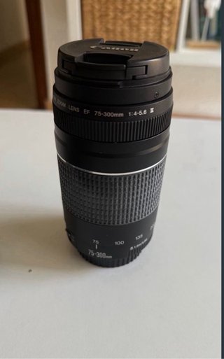 Canon Eos 250d con diferentes objetivos!