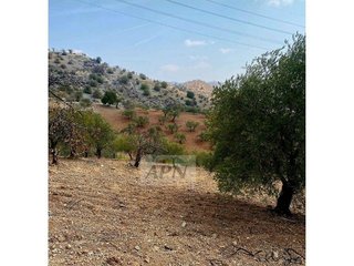 Solar en venta en Álora