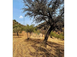 Solar en venta en Álora