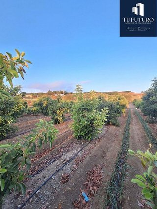 Terreno en venta en Algarrobo en Algarrobo