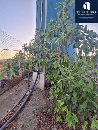 Terreno en venta en Algarrobo en Algarrobo