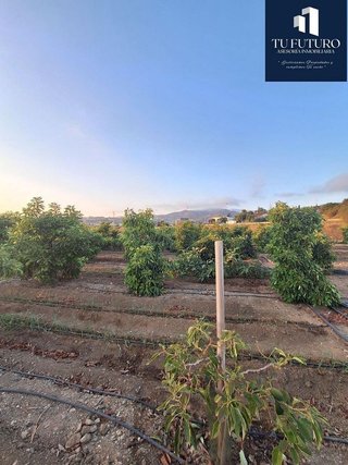 Terreno en venta en Algarrobo en Algarrobo