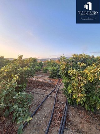 Terreno en venta en Algarrobo en Algarrobo
