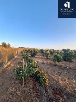 Terreno en venta en Algarrobo en Algarrobo