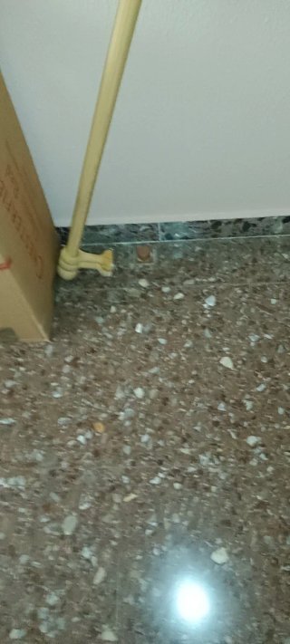 Barra Cortina 250x8 cm con Soportes y Topes