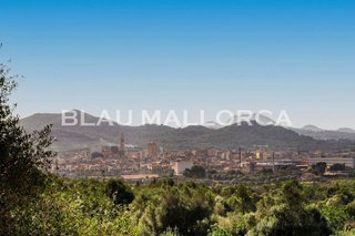 Casa rural en alquiler en Manacor Centro en Manacor
