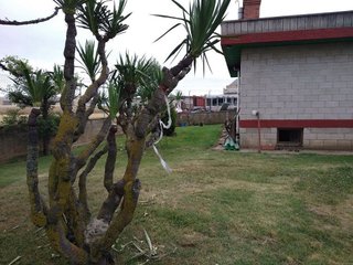 Nave industrial en venta en Santo Domingo de la Calzada