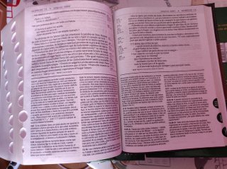 Biblia de estudio del diario vivir NTV, letra g...