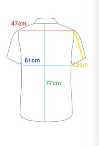 Camicia Polo Ralph Lauren