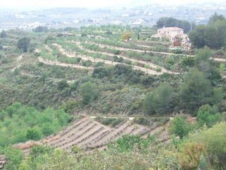 Terreno en venta en Benissa pueblo en Benissa