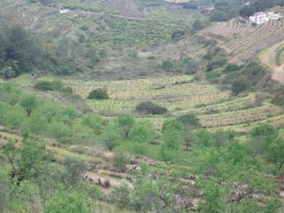 Terreno en venta en Benissa pueblo en Benissa