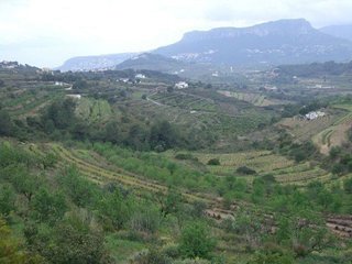 Terreno en venta en Benissa pueblo en Benissa
