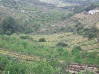 Terreno en venta en Benissa pueblo en Benissa
