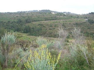 Terreno en venta en Benissa pueblo en Benissa